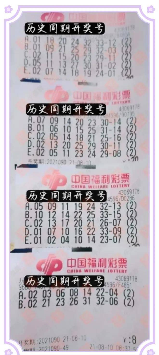 2019年双色球分布图，揭秘彩票背后的数字奥秘