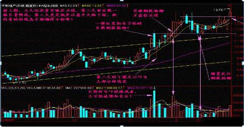 福彩3D 1000期走势图，深度解析与未来展望