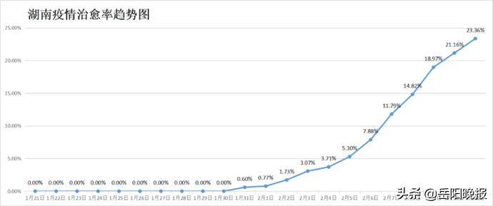 探索未来，综合走势分布图在决策支持中的关键作用