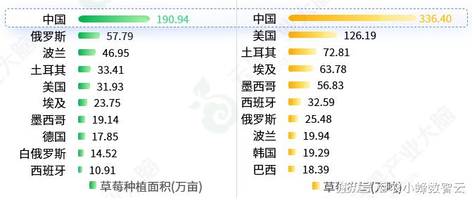 竞彩篮球预测，数据、分析与智慧的碰撞