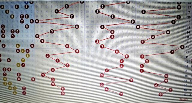 3D开奖综合走势图，透视数字背后的奥秘
