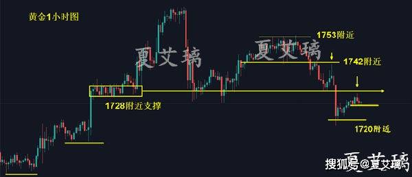 排五排五走势图带连线专业版，深度解析与实战指南