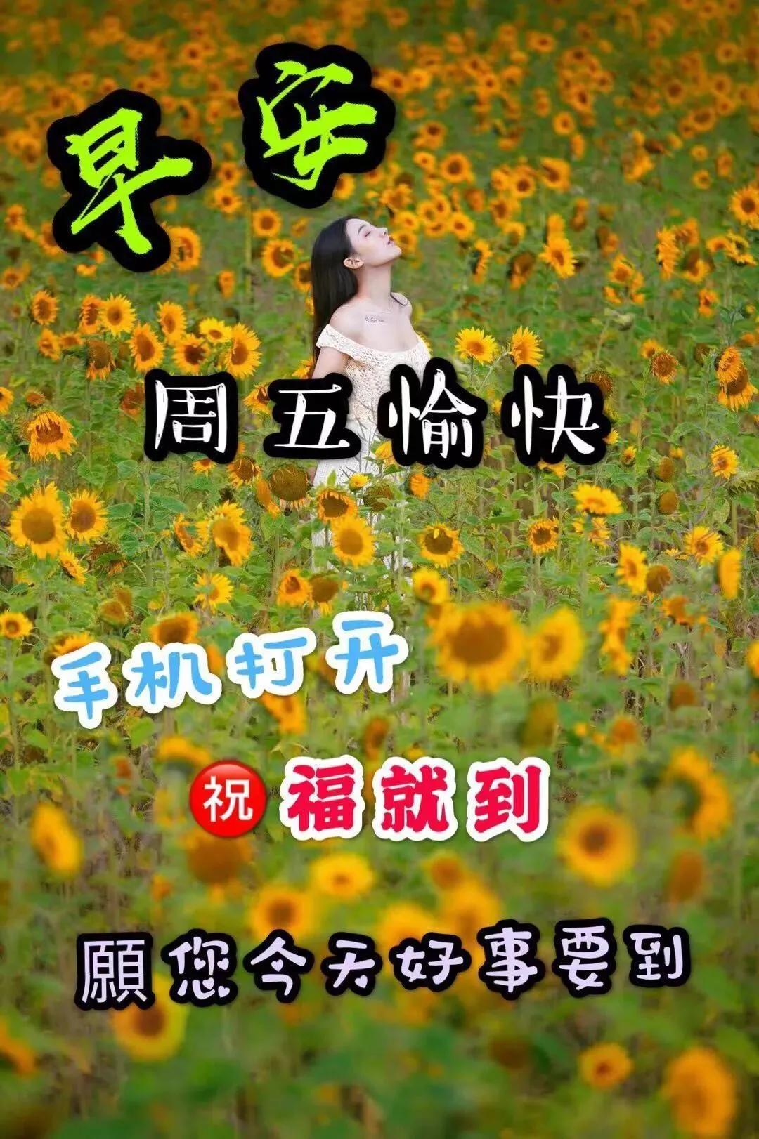 四川福彩快乐十二的魅力与影响