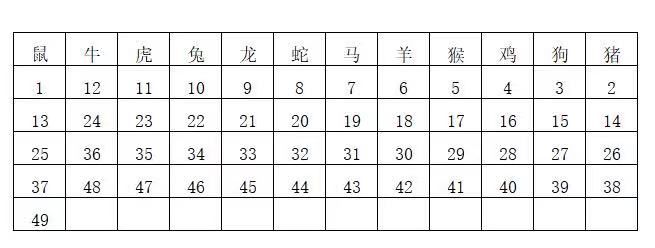 2019年香港开奖结果，回顾与反思
