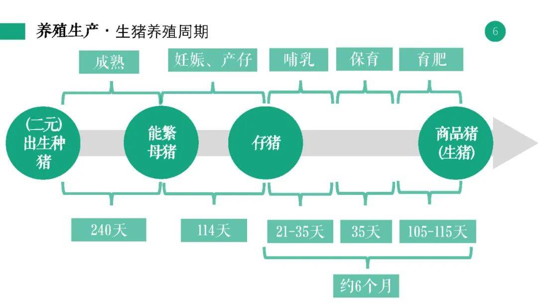 揭秘629375，澳彩资料大全与未来彩票趋势的洞见之旅