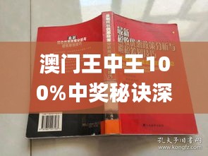 2046年新澳门王中王的传奇故事与未来展望，从历史到未来的辉煌之路