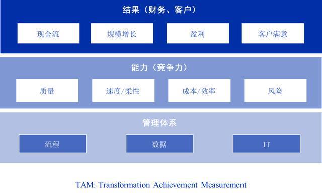 揭秘四肖选一中的中特之道，深度解析与策略分享的秘诀