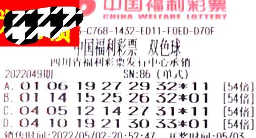 新澳2048年今晚开奖结果揭秘与理性投注指南，如何做出明智的决策？