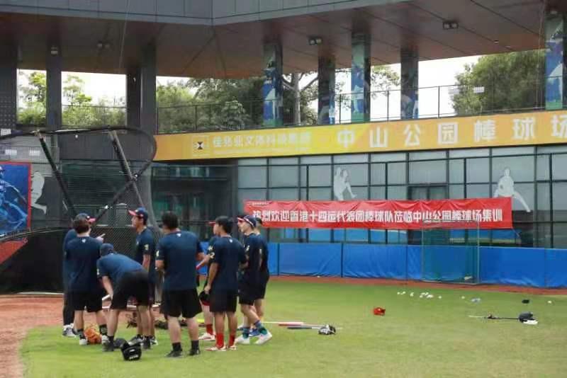 2019年香港马赛前策略与选号技巧大揭秘，内部免费资料助你赢在起跑线！