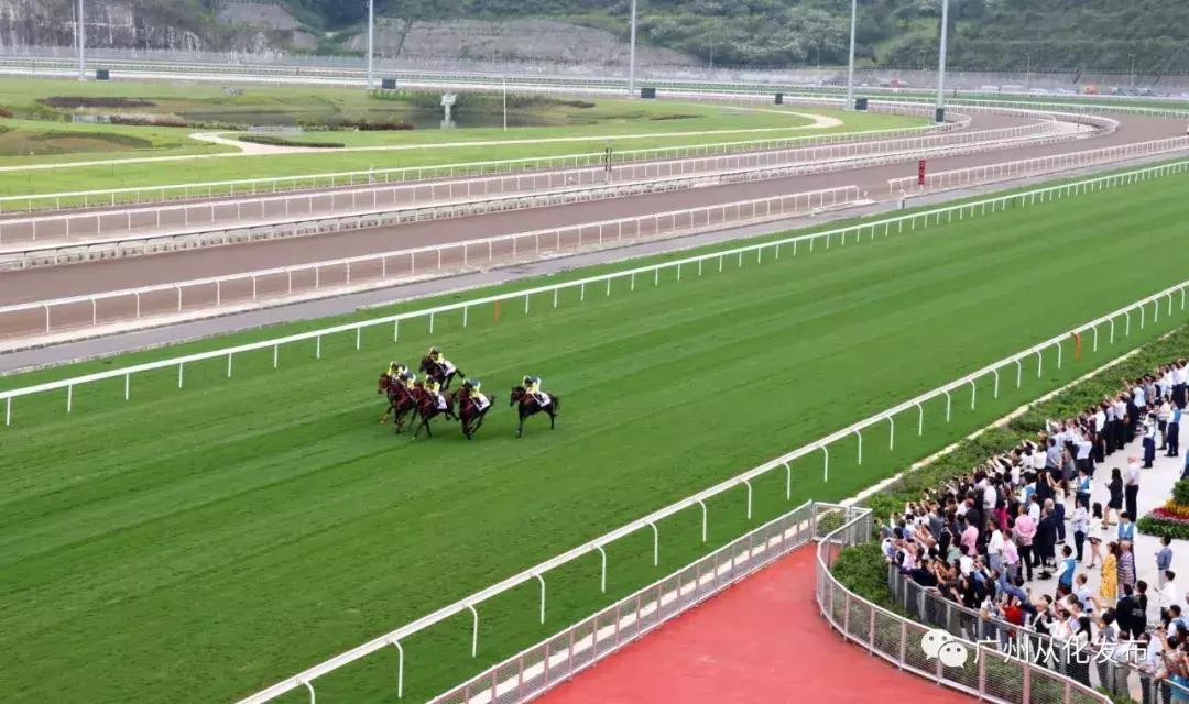 掌握香港马赛精髓，揭秘如何精准获取馬會最准确资料的方法与技巧。