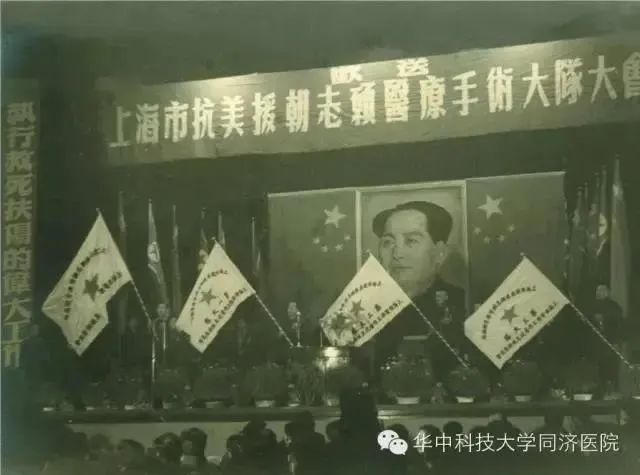 揭秘香港马赛，最准资料背后的故事与传奇之旅