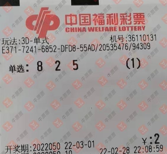 探秘3D布衣神算，揭露怪字12-45的玄妙世界之谜
