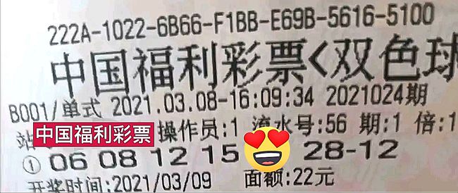 双色球46期开奖，梦想与幸运的璀璨碰撞揭晓！