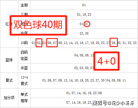 双色球123期蓝码预测，一语道破的解析与策略指南
