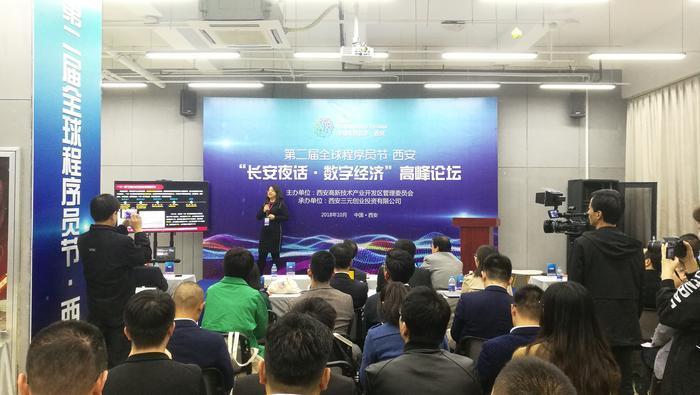 揭秘杀一码,数字游戏中的策略与智慧探索之旅