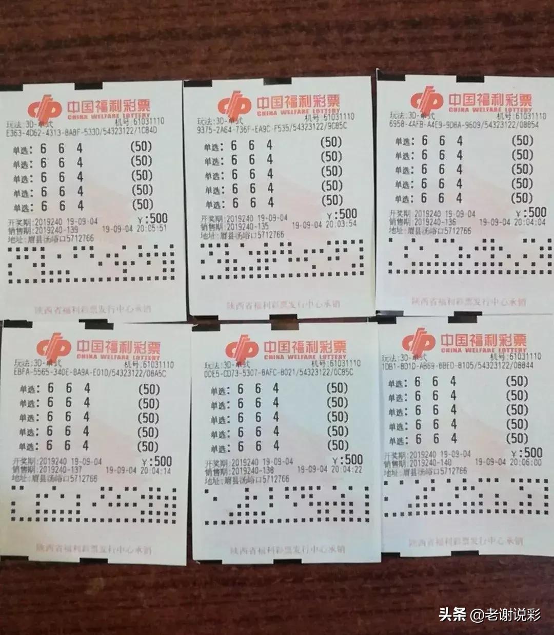 福彩3D平台交流，探索数字的乐趣与公益的力量之旅